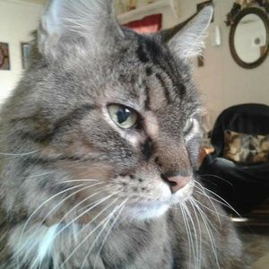 Meet your Posher, Billie